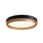 Celing Lights - No01